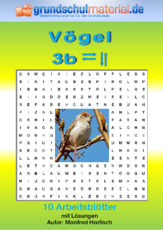 Vögel_3b.pdf